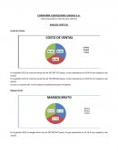 Analisis vertical del Estado de Resultados de una empresa de cerveza