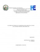 LOS GRANDES FACTORES QUE INCIDEN EN LA RESISTENCIA DEL DOCENTE AL USO DE LAS CANAIMAS COMO RECURSO DIDÁCTICO