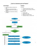 Cuál es el alimento de las plantas