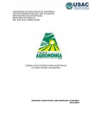 UNIVERSIDAD DE SAN CARLOS DE GUATEMALA CENTRO UNIVERSITARIO DEL SUR OCCIDENTE MAZATENANGO SUCHITEPEQUEZ