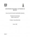 Dibs en busca del yo.