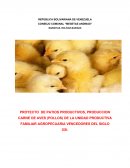 PROYECTO DE PATIOS PRODUCTIVOS, PRODUCCION CARNE DE AVES (POLLOS) DE LA UNIDAD PRODUCTIVA FAMILIAR AGROPECUARIA VENCEDORES DEL SIGLO XXI.