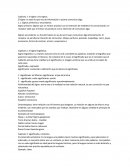 Informe Capítulo 1: el signo y los signos