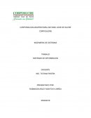 Sistemas de informacion UPS