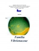 Vibrionaceae, es una familia de Proteobacteria
