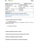 Principios de las cadenas de suministros