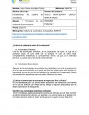 ¿Cuál es la cadena de valor de la empresa?