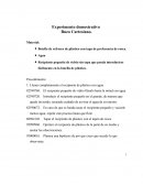 Experimento demostrativo Buzo Cartesiano.