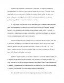 La organización del trabajo