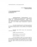 EL GRAN DESMANTELAMIENTO DE RED ELECTRICA