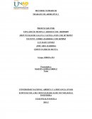 Trabajo colaborativo 1 metodos numericos.