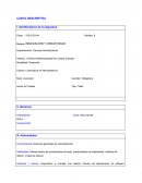 INNOVACIÓN Y CREATIVIDAD Conocimientos: Nociones generales de mercadotecnia