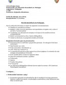Parcial domiciliario de Pedagogía