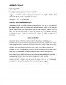 Le gusta la oscuridad y la humedad. Se pude confundir con una flor voladora. Para defenderte de ella, basta un hechizo de luz Lumos.