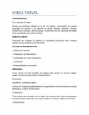 Canal virtual FORZA TRAVEL. ANTECEDENTES.