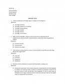 ¿Cómo se clasifican las hormigas según su trabajo en el hormiguero?