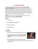La lata del vacio