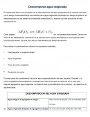 Informe de experimento DESCOMPOSICION DEL AGUA OXIGENADA