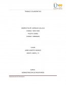 Ttabajo colaborativo 1 admon de inventarios