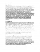 Comprencion lectrora 4