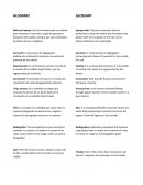 Gloario en ingles tecnico en salud