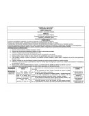 NOMBRE DE LA SITUACIÓN “PEQUENOS ARTISTAS”