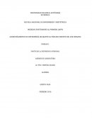 Acompañamiento de enfermería durante el proceso de muerte del ser humano