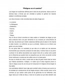 Peligros en el camino