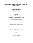 Bioquímica de los alimentos.