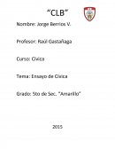 Ensayo de cívica
