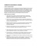 COMISON DE SEGURIDAD E HIGIENE