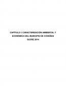 Las áreas litorales en Colombia son fuente productora de una gran variedad de recursos ecosistémicos