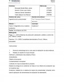 Diagnóstico de un sistema productivo.