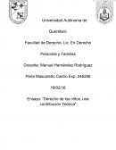 Derecho de los niños, una contribución teórica