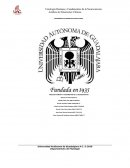 FISIOLIGIA HUMANA Y FUNDAMENTOS DE LA NEUROCIENCIAS