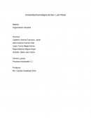 Organización industrial “Copick nationality ”