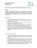 SOCIEDAD DE RESPONSABILIDAD LIMITADA (S. de R.L.)