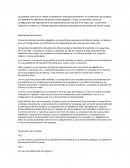 Tesis Descripción de la técnica