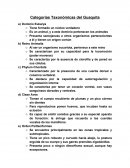 Categorías Taxonómicas del Guaquita