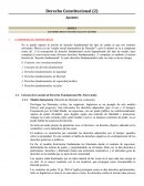 Los Derechos Fundamentales in Genere La Democracia Constitucional