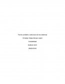 Teoría contable y estructura de los sistemas.