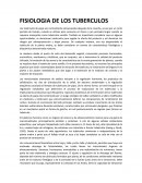FISIOLOGIA DE LOS TUBERCULOS