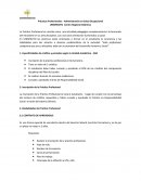 La Práctica Profesional se concibe como una actividad pedagógica complementaria a la formación del estudiante en su área disciplinar, con una clara orientación humanística y social.