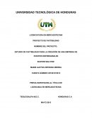 ESTUDIO DE FACTIBILIDAD PARA LA CREACIÓN DE UNA EMPRESA DE EVENTOS ENPRESARIALES