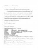 Organigrama Estructural de la Organización