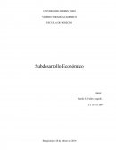 En la actualidad en el mundo entero hablamos de los países de tal forma que se catalogan en desarrollados y subdesarrollados. Hasta la fecha solo conocemos aproximadamente 20 países desarrollados y el resto abarca el grupo de los subdesarrollados o en v