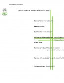 Luz Led ahorro en el consumo de electricidad