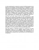 CULTURA ORGANIZACIONAL en general da a conocer los diferentes aspectos que se abarcan en las actividades