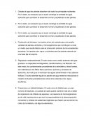 Importancia del suelo.