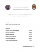 Organización, Análisis y Desarrollo de Negocios (OADN)